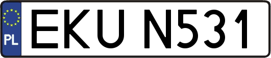 EKUN531
