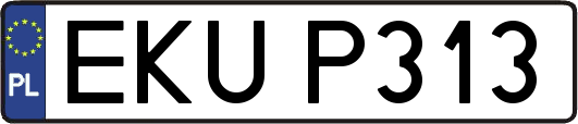 EKUP313