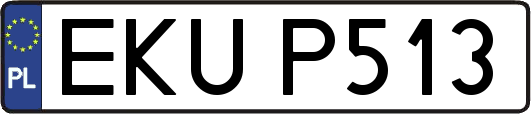 EKUP513