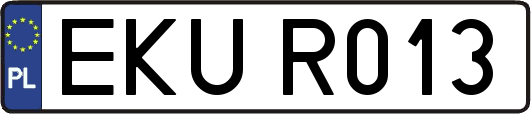 EKUR013