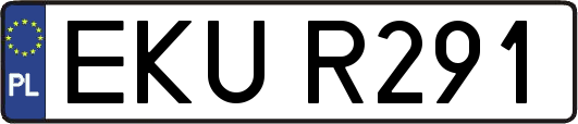 EKUR291
