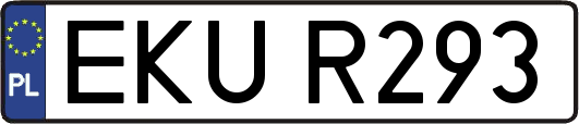 EKUR293