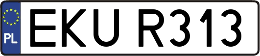 EKUR313