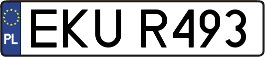 EKUR493