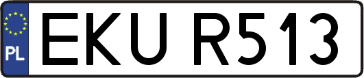 EKUR513
