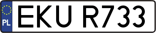 EKUR733