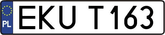 EKUT163
