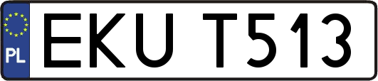 EKUT513