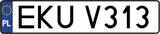 EKUV313