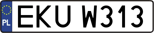 EKUW313