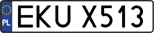 EKUX513