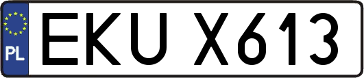 EKUX613