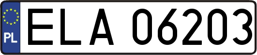 ELA06203