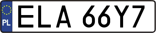 ELA66Y7