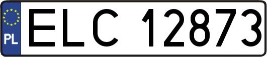 ELC12873
