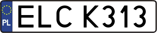 ELCK313
