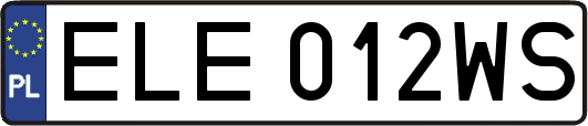 ELE012WS
