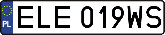 ELE019WS