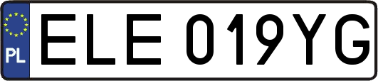 ELE019YG