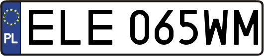 ELE065WM