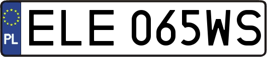 ELE065WS