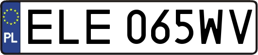 ELE065WV