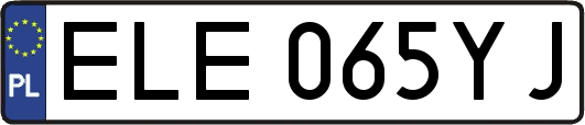 ELE065YJ