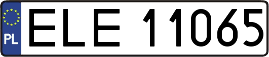 ELE11065