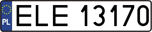 ELE13170