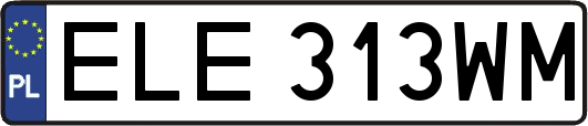 ELE313WM