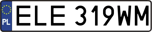ELE319WM