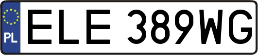 ELE389WG