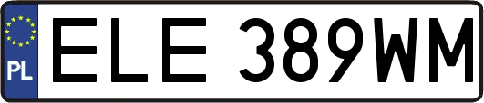 ELE389WM