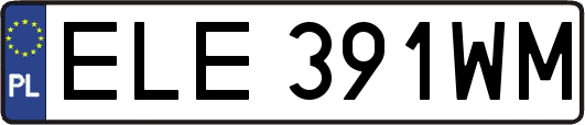 ELE391WM