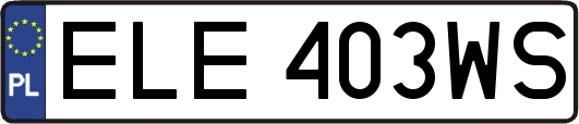 ELE403WS