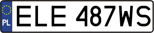 ELE487WS