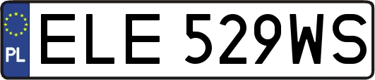 ELE529WS