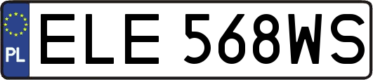 ELE568WS