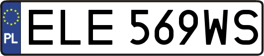 ELE569WS
