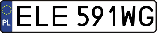 ELE591WG