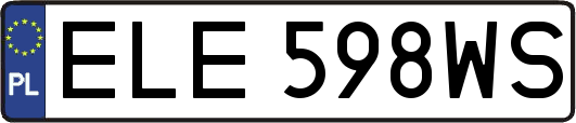 ELE598WS
