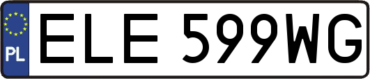 ELE599WG