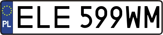 ELE599WM