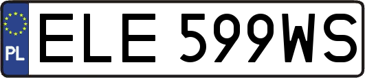 ELE599WS
