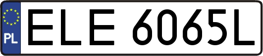 ELE6065L