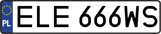 ELE666WS