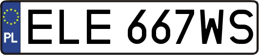 ELE667WS