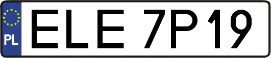 ELE7P19