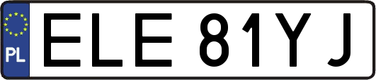 ELE81YJ