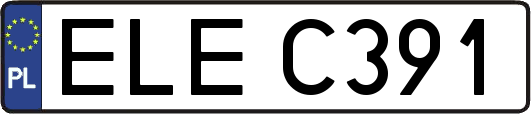ELEC391